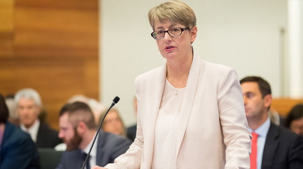 Counsel Assisting, Gail Furness SC Counsel Assisting, Gail Furness SC speaking in a court room