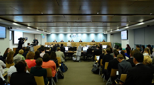 Case study scouts 05 picture