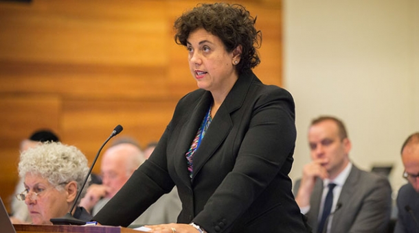 Counsel Assisting, Maria Gerace addresses Commissioners