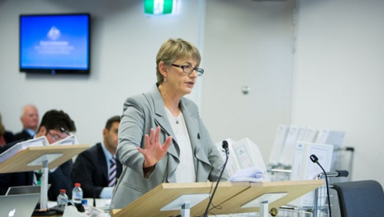 Counsel Assisting, Gail Furness SC speaking in a court room