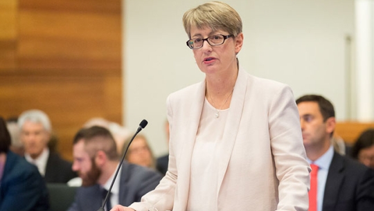 Counsel Assisting, Gail Furness SC speaking in a court room