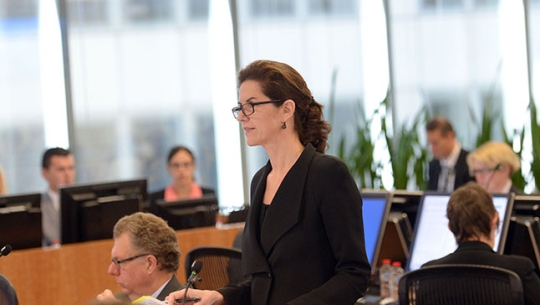 Counsel Assisting, Dr Hayley Bennett addressing the Commissioners