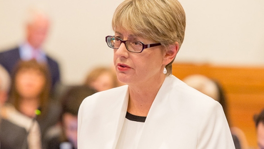 Counsel Assisting, Gail Furness SC
