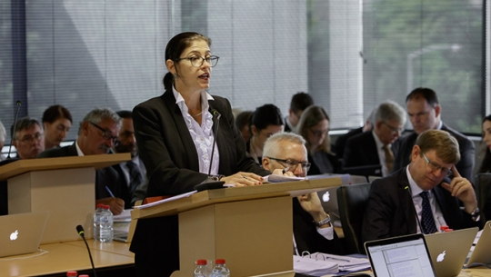 Counsel Assisting, Naomi Sharp presenting to Commissioners
