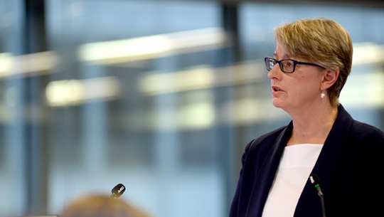Counsel Assisting, Gail Furness SC