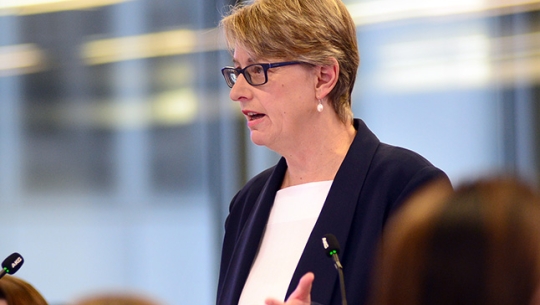 Counsel Assisting, Gail Furness SC