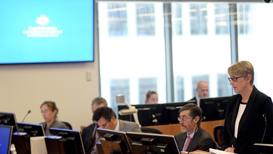 Counsel Assisting, Gail Furness SC speaking in a court room