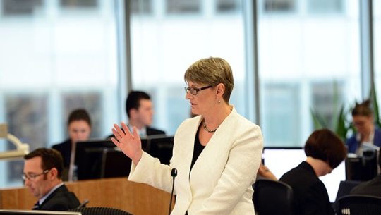 Counsel Assisting, Gail Furness SC speaking in a court room
