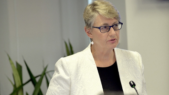 Counsel Assisting, Gail Furness SC