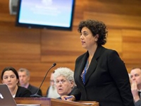 Submissions for Yeshivah Melbourne and Yeshiva Bondi public hearing published