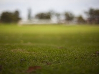 Call for information about child sexual abuse in sporting clubs